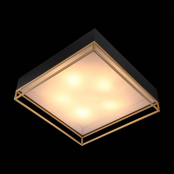Накладной светильник st-luce chodo sl1127.422.05