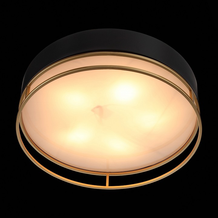 Накладной светильник st-luce chodo sl1127.432.05