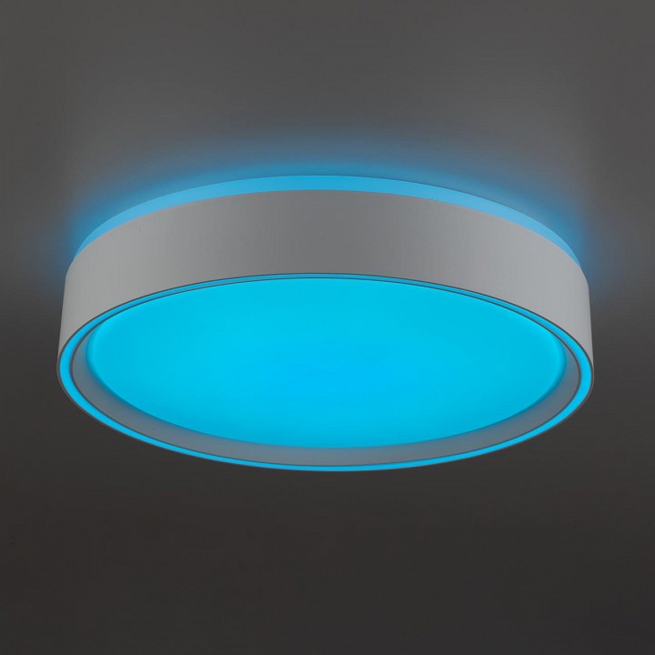 Накладной светильник citilux boss cl751250g