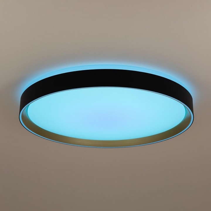 Накладной светильник citilux boss cl751451g