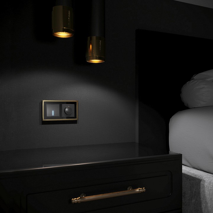 Рамка на 2 поста werkel baguette (черный/латунь) w0022852