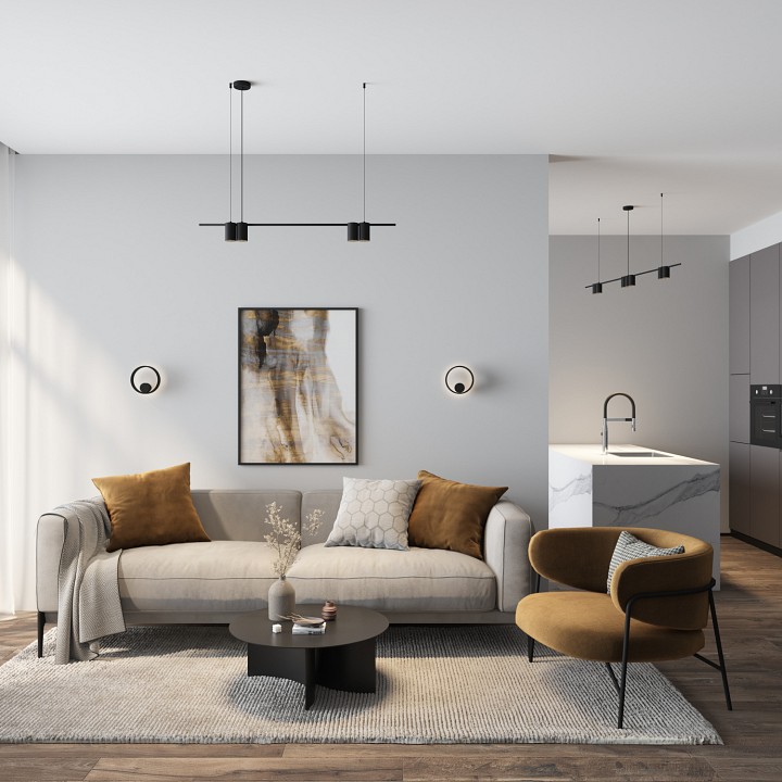 Подвесной светильник denkirs orbit dk4061-bk