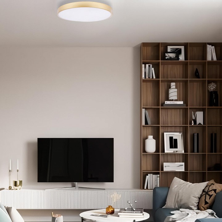 Накладной светильник loft it flims 10228/b
